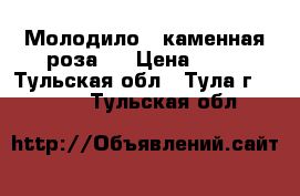 Молодило “ каменная роза “ › Цена ­ 60 - Тульская обл., Тула г.  »    . Тульская обл.